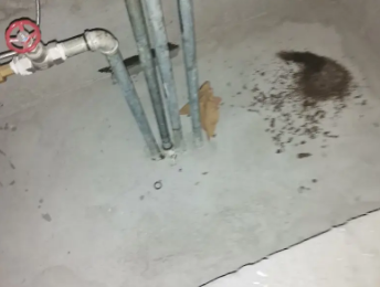 杏花岭卫生间测漏水价格明细